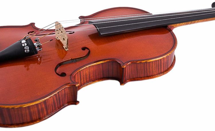 Violino